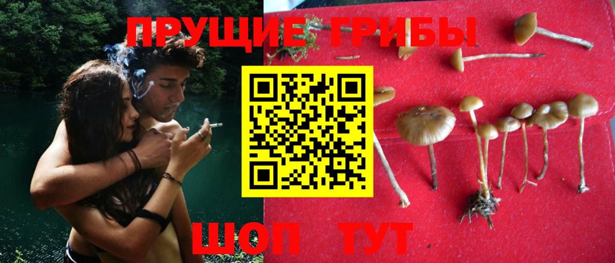 Воскресенск  Псилоцибиновые грибы Cubensis  Псилоцибиновые грибы Magic Shrooms  Вход с VPN 
